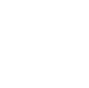 li-logo